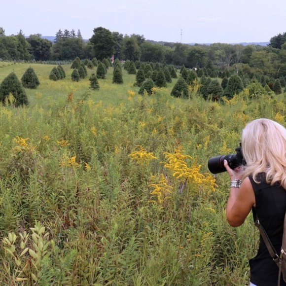 Poshmark Authenticate Verified ReSeller -- 5 Star Seller - Picture 5 of 12